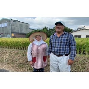 ふるさと納税 ヒノヒカリ 1等級米 真空パック...の詳細画像3