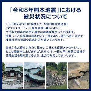 ふるさと納税 トイレットペーパー シングル 1...の詳細画像1