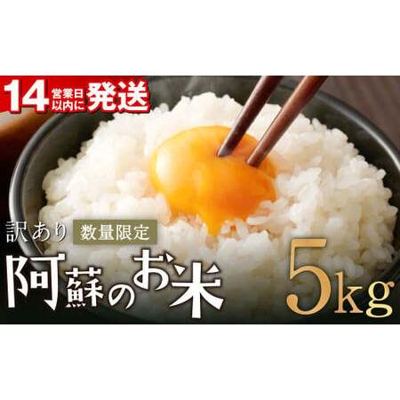 ふるさと納税 阿蘇のお米 5kg【14営業日発送】 精米 お米 米 おすすめ 人気 ランキング 熊本...
