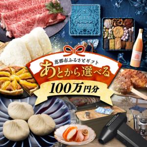 ふるさと納税 【あとから選べる】 岐阜県恵那市ふるさとギフト 寄附100万円分[AUFQ019]あとから選べる 岐阜県恵那市