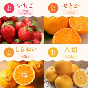 ふるさと納税 【定期便全12回】旬果厳選!四季...の詳細画像1