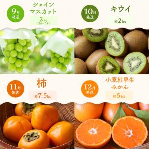 ふるさと納税 【定期便全12回】旬果厳選!四季...の詳細画像3