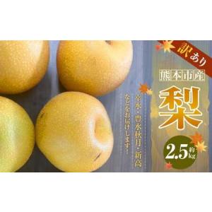 ふるさと納税 【訳あり】【数量限定】【先行予約】熊本市産 梨 (幸水・豊水・秋月・新高など) 約 2.5kg 果物 くだもの フルーツ 家庭用 訳あり .. 熊本県熊本市