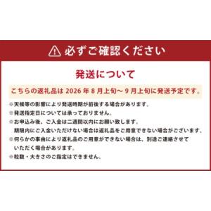 ふるさと納税 【数量限定】【先行予約】シャイン...の詳細画像3