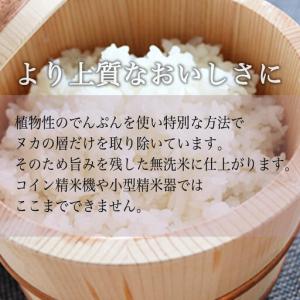 ふるさと納税 【定期便】令和7年 南魚沼産コシ...の詳細画像2