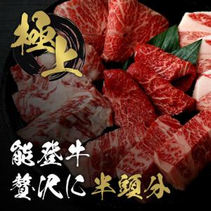 ふるさと納税 肉【和牛セレブ】能登牛 半頭買い...の詳細画像1