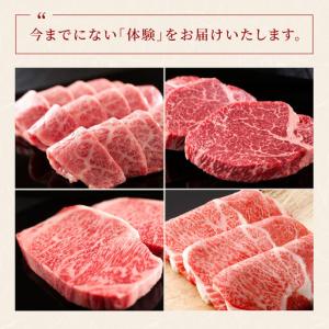 ふるさと納税 肉【和牛セレブ】能登牛 半頭買い...の詳細画像2