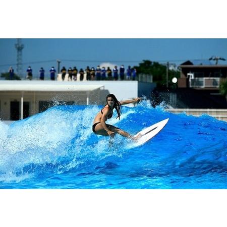 ふるさと納税 148-9 静波サーフスタジアム 上級コース（ライトのみ）チケット サーフィン サーフ...