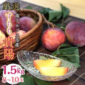 ふるさと納税 ＜2026年発送分先行予約＞厳選 貴陽すもも 約1.5kg 8玉〜10玉 山梨県南アルプス市産 ALPBV008 山梨県南アルプス市