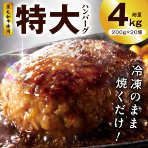 ふるさと納税 【冷凍のまま焼くだけ！】特大ハンバーグ 200g×20個 ハンバーグ 大阪府泉佐野市