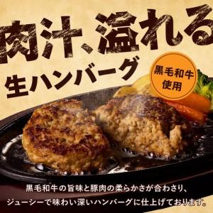 ふるさと納税 【冷凍のまま焼くだけ!】特大ハン...の詳細画像2