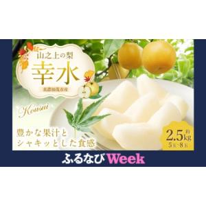 ふるさと納税 《先行予約》 「山之上果実農業協同組合」 山之上の梨 幸水 1箱 約 2.5kg （ 5-8玉 ) 【2026年8月上旬-8月下旬 発送予定】 岐阜県美濃加茂市