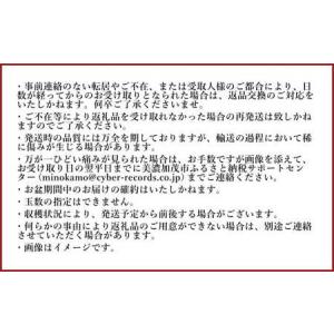 ふるさと納税 《先行予約》 「山之上果実農業協...の詳細画像2