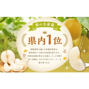 ふるさと納税 《先行予約》 「山之上果実農業協...の詳細画像4