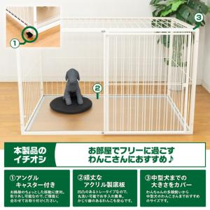 ふるさと納税 「 小型犬 ・ 中型犬用 」 ペ...の詳細画像3