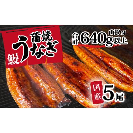 ふるさと納税 うなぎ 国産 訳あり ウなぎ 蒲焼き 5尾 640g  茨城県八千代町