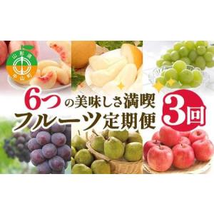 ふるさと納税 【2026年 先行予約】3回定期便 6つの美味しさ満喫フルーツ便 桃 和梨 シャインマスカット ピオーネ ラ・フランス りんご 果物 くだ.. 山形県中山町