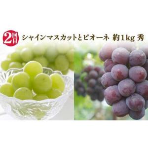 ふるさと納税 【2026年 先行予約】3回定期...の詳細画像2