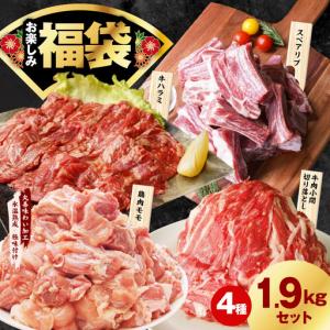 ふるさと納税 肉福袋 4種 1.9kg 焼肉セット（牛肉 切り落とし／牛ハラミ／豚肉 スペアリブ／鶏肉） 大阪府泉佐野市