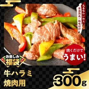 ふるさと納税 肉福袋 4種 1.9kg 焼肉セ...の詳細画像2