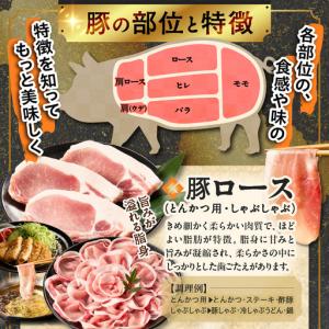 ふるさと納税 宮崎県産豚肉6種盛り合わせセット...の詳細画像1