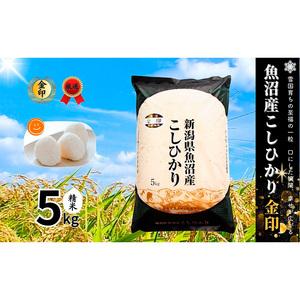 ふるさと納税 米 コシヒカリ 金印 5kg 精米...の商品画像