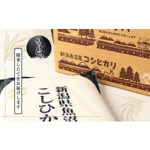 ふるさと納税 米 コシヒカリ 金印 5kg 精...の詳細画像1