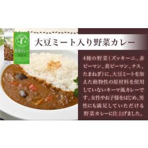 ふるさと納税 キッチン飛騨 大豆ミート入り野菜...の詳細画像1