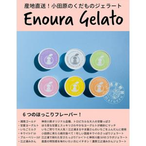 ふるさと納税 【定期便 9回】 小田原産江之浦...の詳細画像1