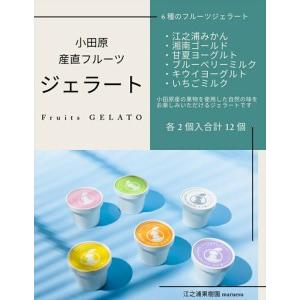 ふるさと納税 【定期便 12回】 小田原産江之浦ジェラート６種（みかん、湘南ゴールド、ブルーベリーミルク、いちごミルク、キウイヨーグルト.. 神奈川県小田原市