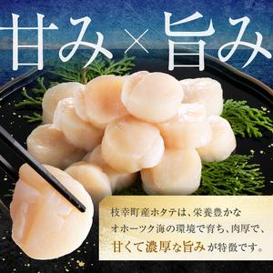 ふるさと納税 【枝幸ほたて】贈答用 1等ほたて...の詳細画像2