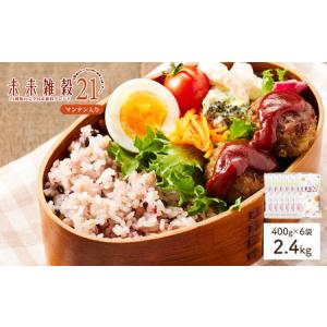 ふるさと納税 未来雑穀21 (計2.4kg・40...の商品画像