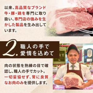 ふるさと納税 【全12回定期便】【A4/A5等...の詳細画像3