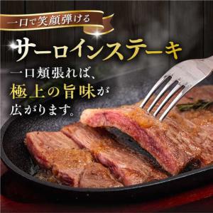 ふるさと納税 【全6回定期便】【A4/A5等級...の詳細画像1