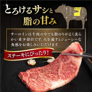 ふるさと納税 【全12回定期便】【A4/A5等...の詳細画像4