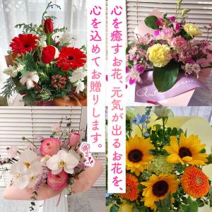 ふるさと納税 【定期便6ヵ月】季節の生花アレン...の詳細画像1