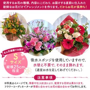 ふるさと納税 【定期便6ヵ月】季節の生花アレン...の詳細画像2