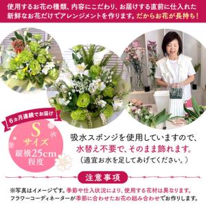 ふるさと納税 【定期便6ヵ月】月命日生花アレン...の詳細画像2