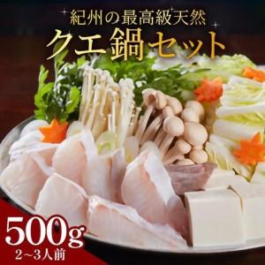ふるさと納税 紀州の最高級天然クエ鍋セット 500g《2?3人前》 和歌山県印南町