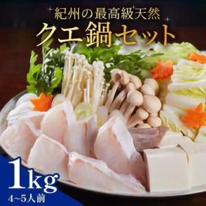 ふるさと納税 紀州の最高級天然クエ鍋セット 1kg《4?5人前》 和歌山県印南町