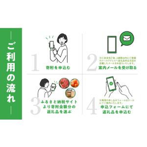ふるさと納税 あとからチョイス 350万円 選...の詳細画像1