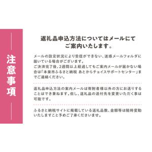 ふるさと納税 あとからチョイス 350万円 選...の詳細画像3