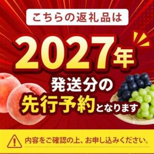 ふるさと納税 2027年発送先行受付【シンガポ...の詳細画像1