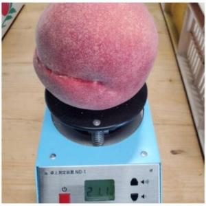 ふるさと納税 2027年発送先行受付【シンガポ...の詳細画像3