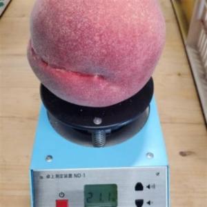ふるさと納税 2027年発送先行受付【TVで人...の詳細画像3