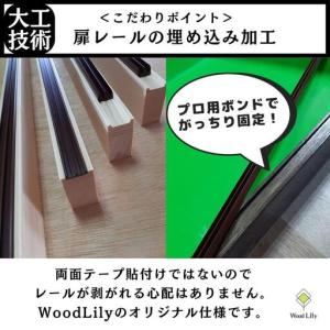 ふるさと納税 【強固な爬虫類ケージ】防水パネル...の詳細画像2