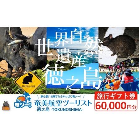 ふるさと納税 奄美航空ツーリスト徳之島営業所 旅行ギフト券(60,000円分)( 旅行会社 地元旅行...