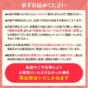 ふるさと納税 ≪先行受付≫ふじりんご 5kg ...の詳細画像3