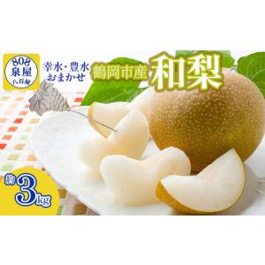 ふるさと納税 【令和8年産先行予約】鶴岡市産 和梨（品種おまかせ）幸水・豊水のどちらか1種 約3kg　K-823　泉屋商店 山形県鶴岡市
