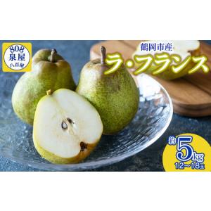 ふるさと納税 【令和8年産先行予約】鶴岡市産 ラ・フランス（洋梨） 約5kg（12〜18玉）　K-835　泉屋商店 山形県鶴岡市
